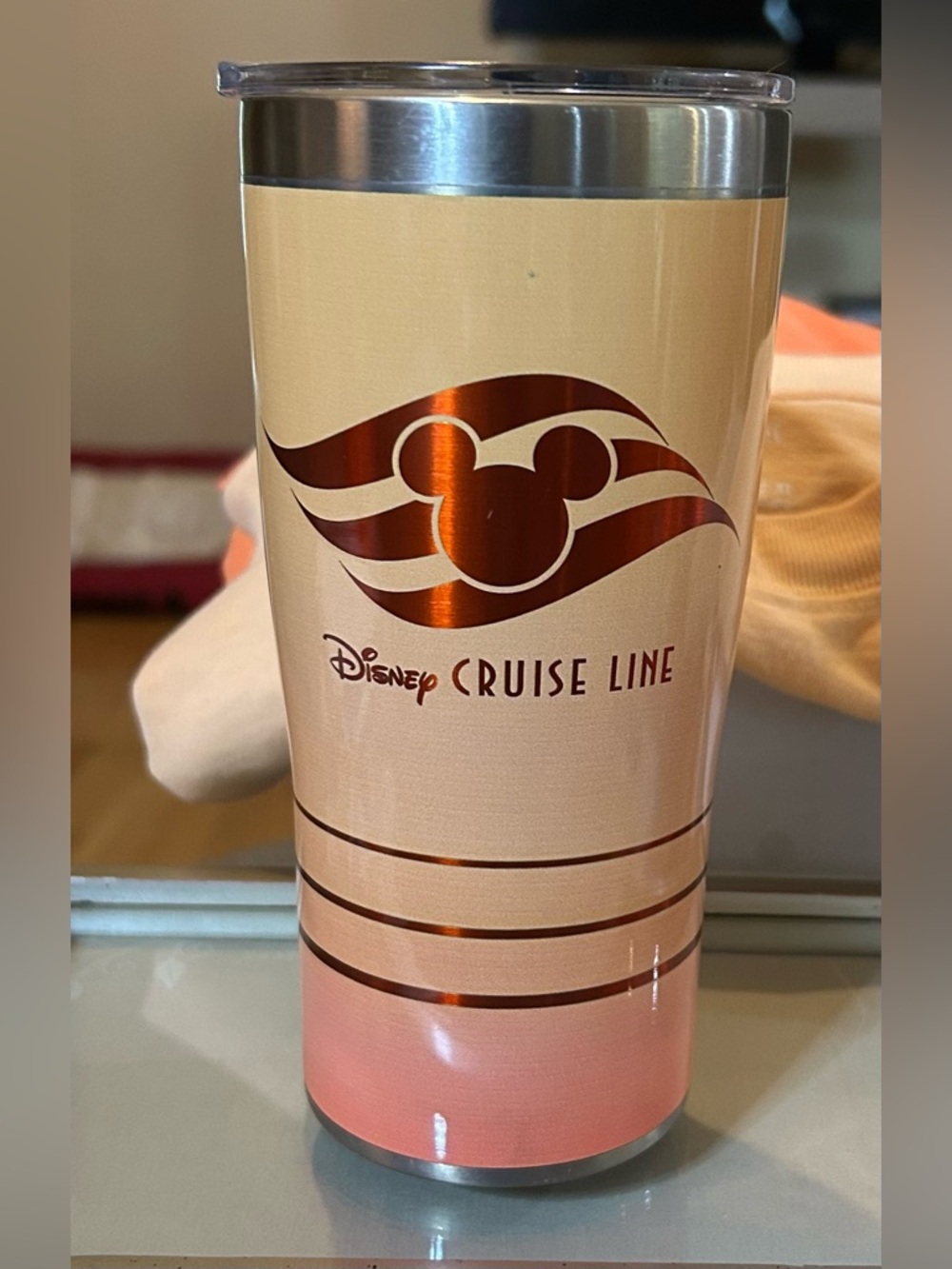 Disney Cruise Line Tervis Thermal Tumbler